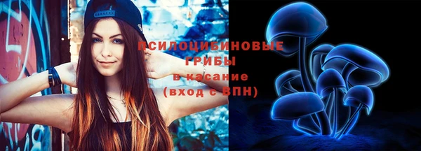 дурь Кулебаки