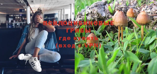 дурь Кулебаки