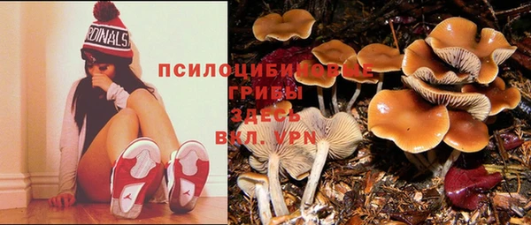 молекула духа Кукмор