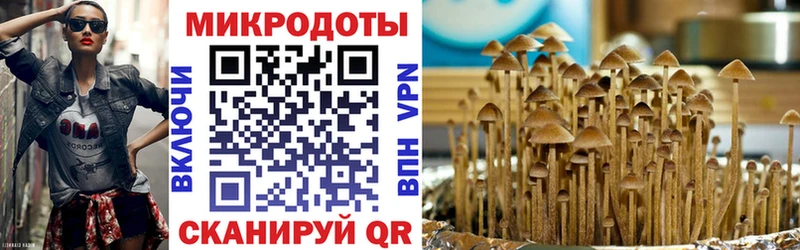 Псилоцибиновые грибы ЛСД  Новошахтинск 